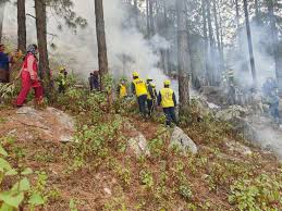 *वनाग्नि रोकने के गंभीर प्रयासों से बढ़ी उम्मीदें*