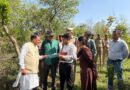 वन मंत्री सुबोध उनियाल ने किया श्यामपुर रेंज का निरीक्षण